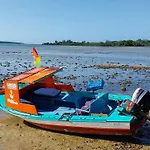 Chillpill Guest House