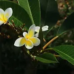 Gite Des Acacias