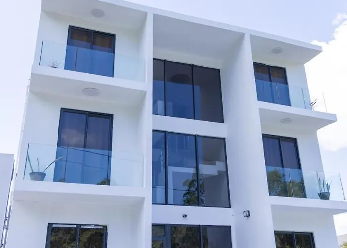 Palms 2