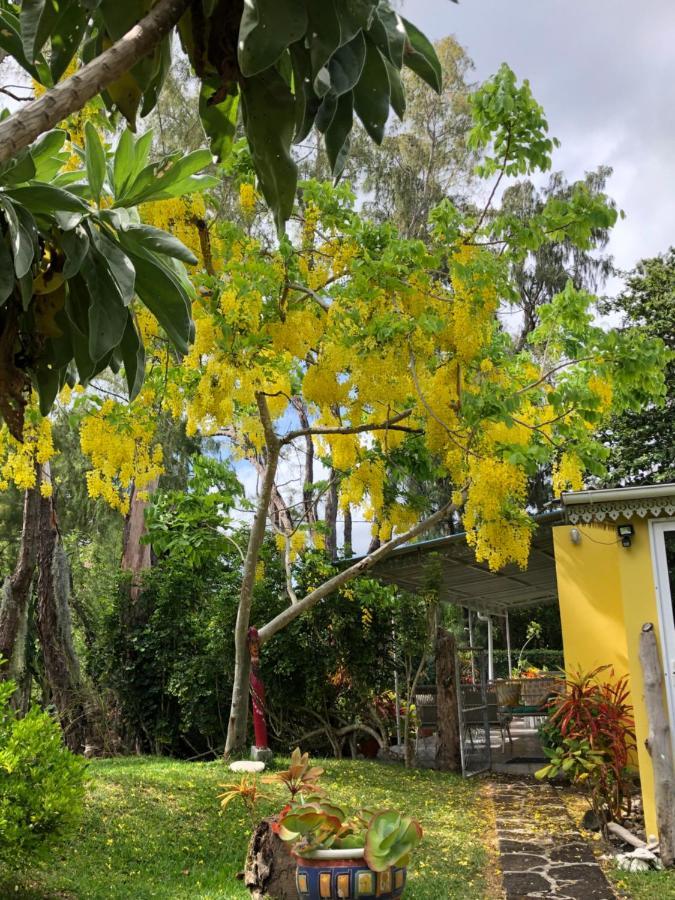 Cassia Riambel