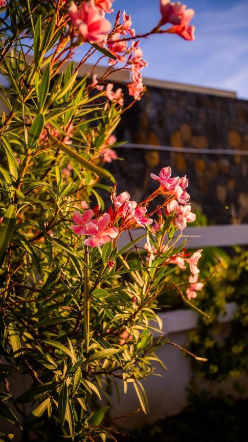 Simone: Sunlit Getaway W/ Pool + Wifi