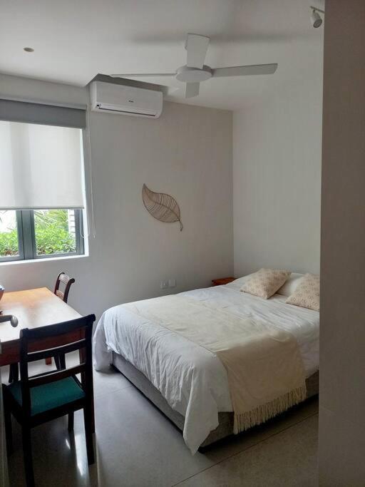 Apartment Beachfront Tamarin