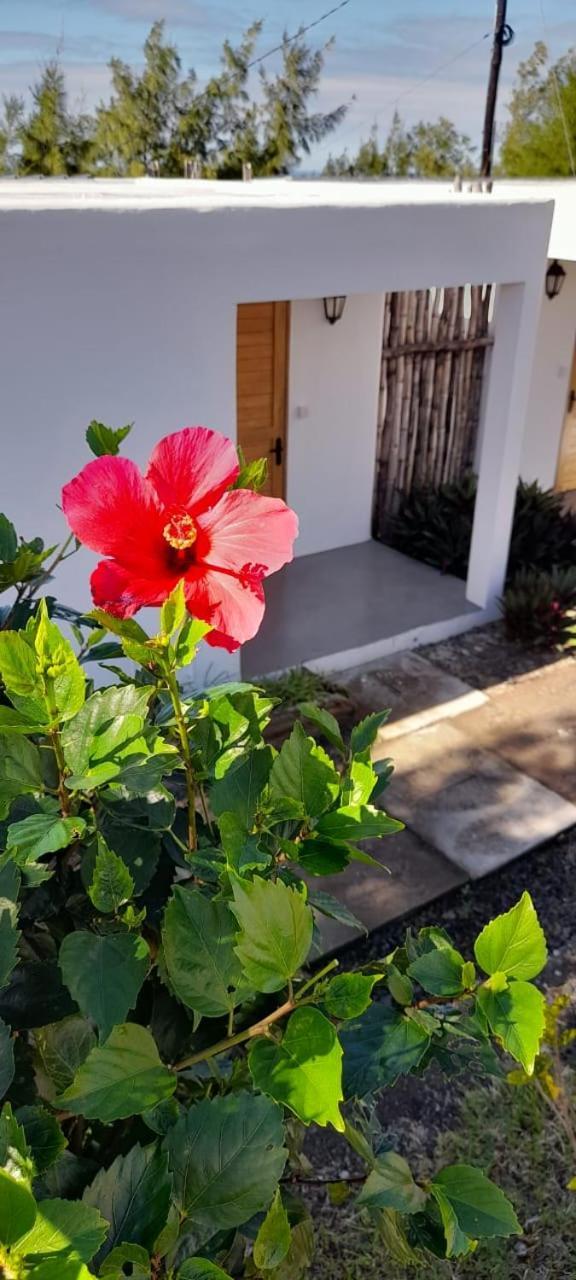 Ti Zil Guest house