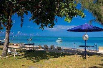 Les Lataniers Bleus - Guest house