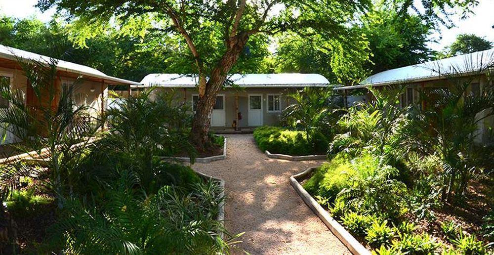 Campo de férias Vanilla House