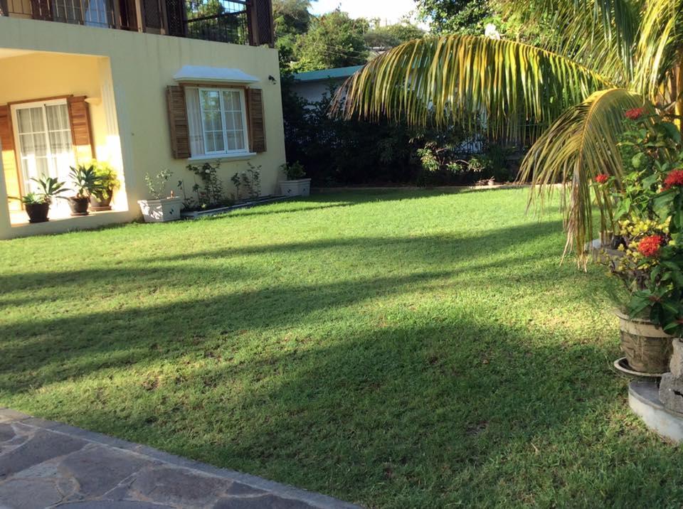 The House Rodrigues * Bambou