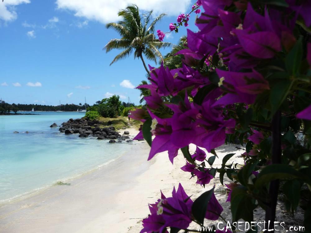Marie Grand Baie