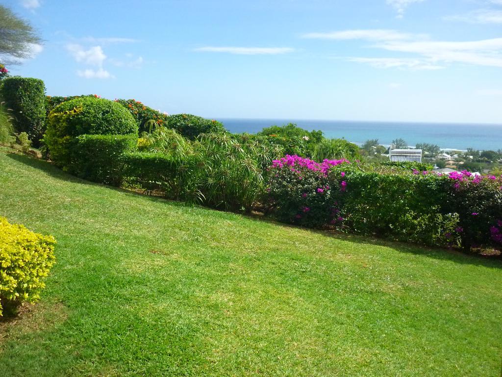 Hillside Haven * Tamarin
