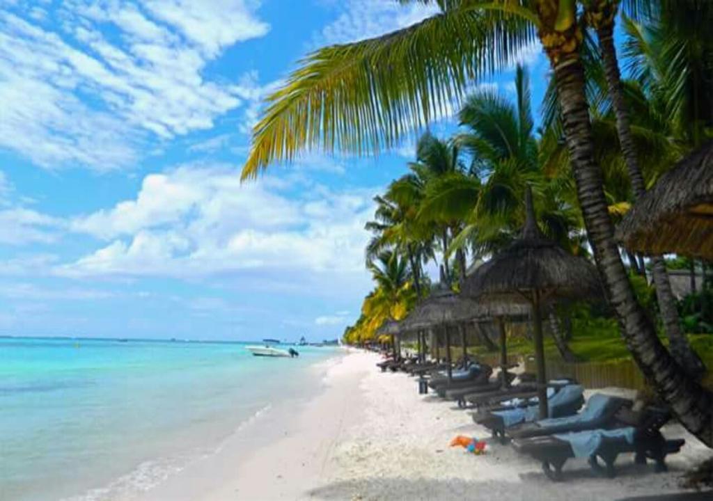 Bed & Breakfast Easy Trou aux Biches