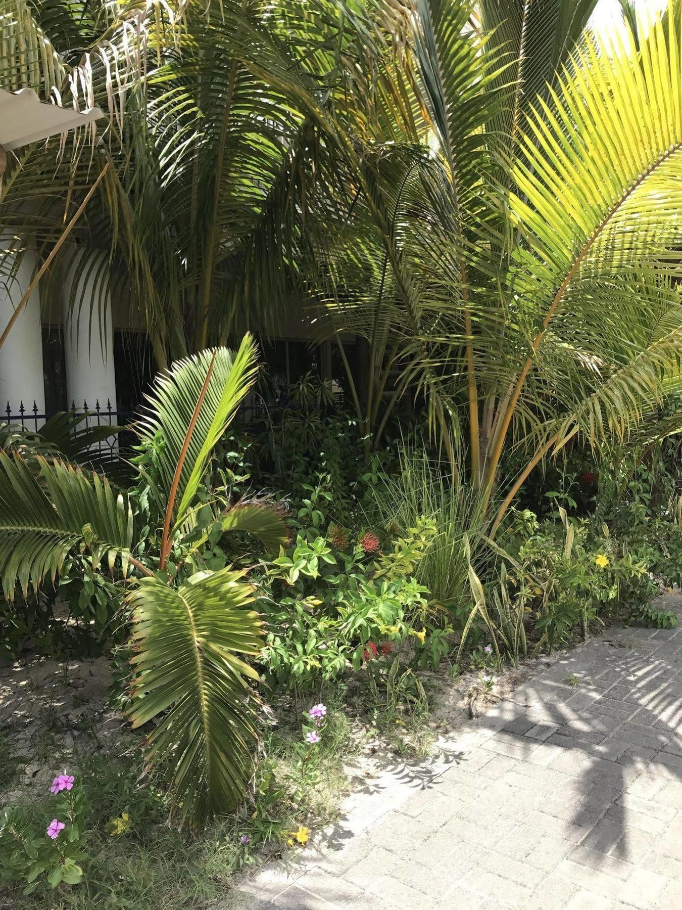 Hotel La De Trou aux Biches