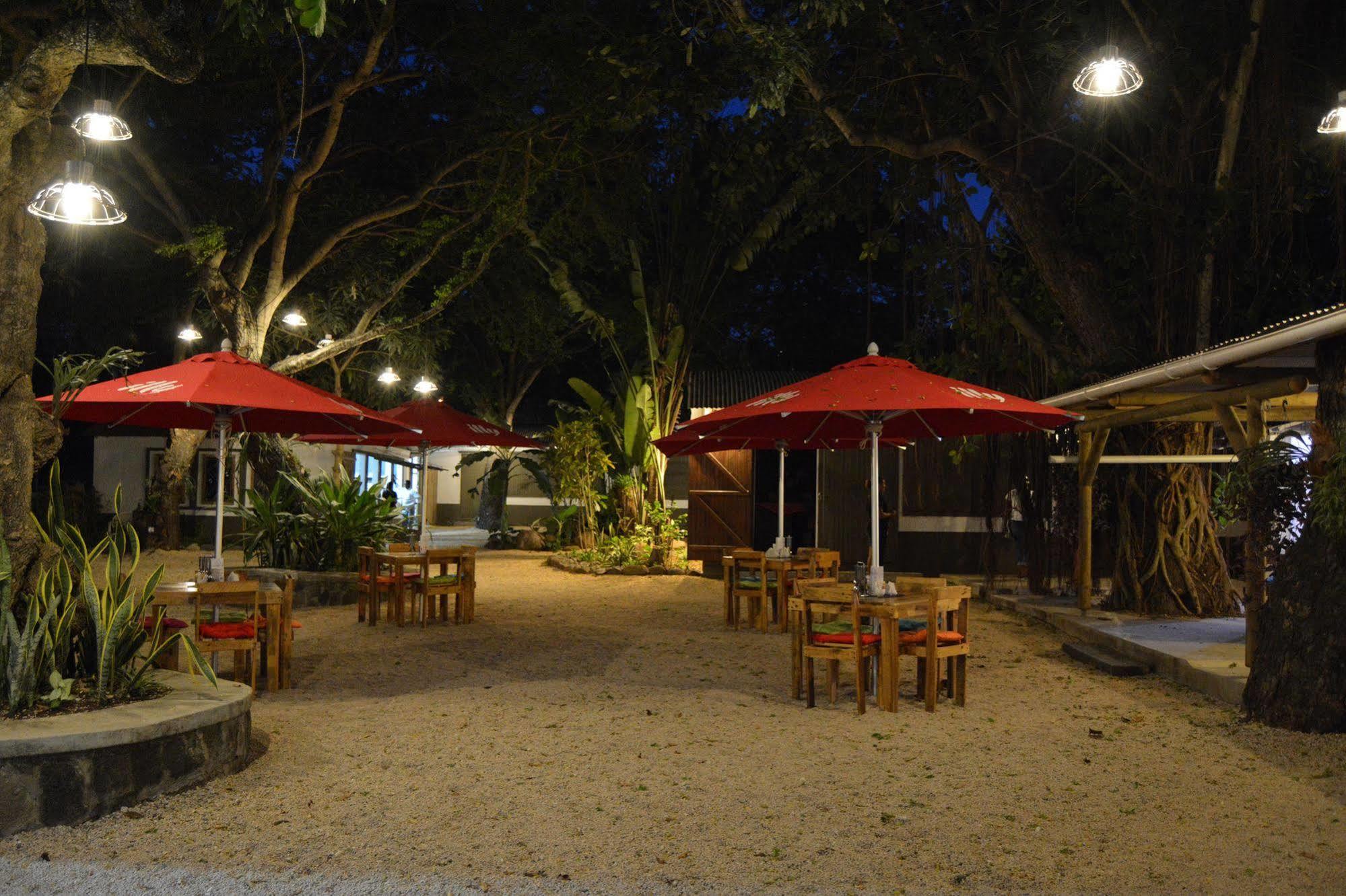 Campo de férias Vanilla House
