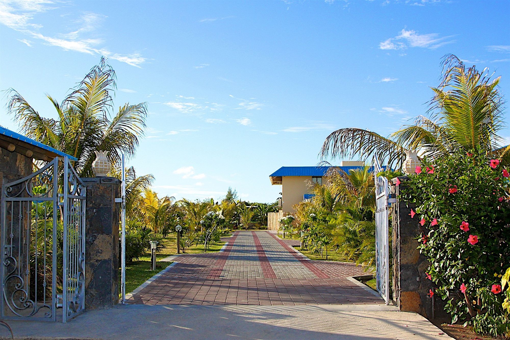 Orchid Mauritius * Palmar