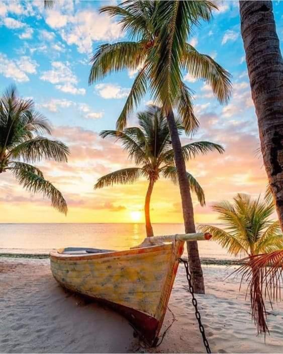 Oceanview Kite * La Gaulette