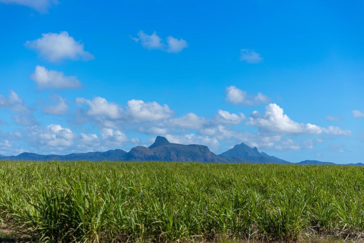 Stella Beach House By Staymauritius Holiday home Pointe D'Esny