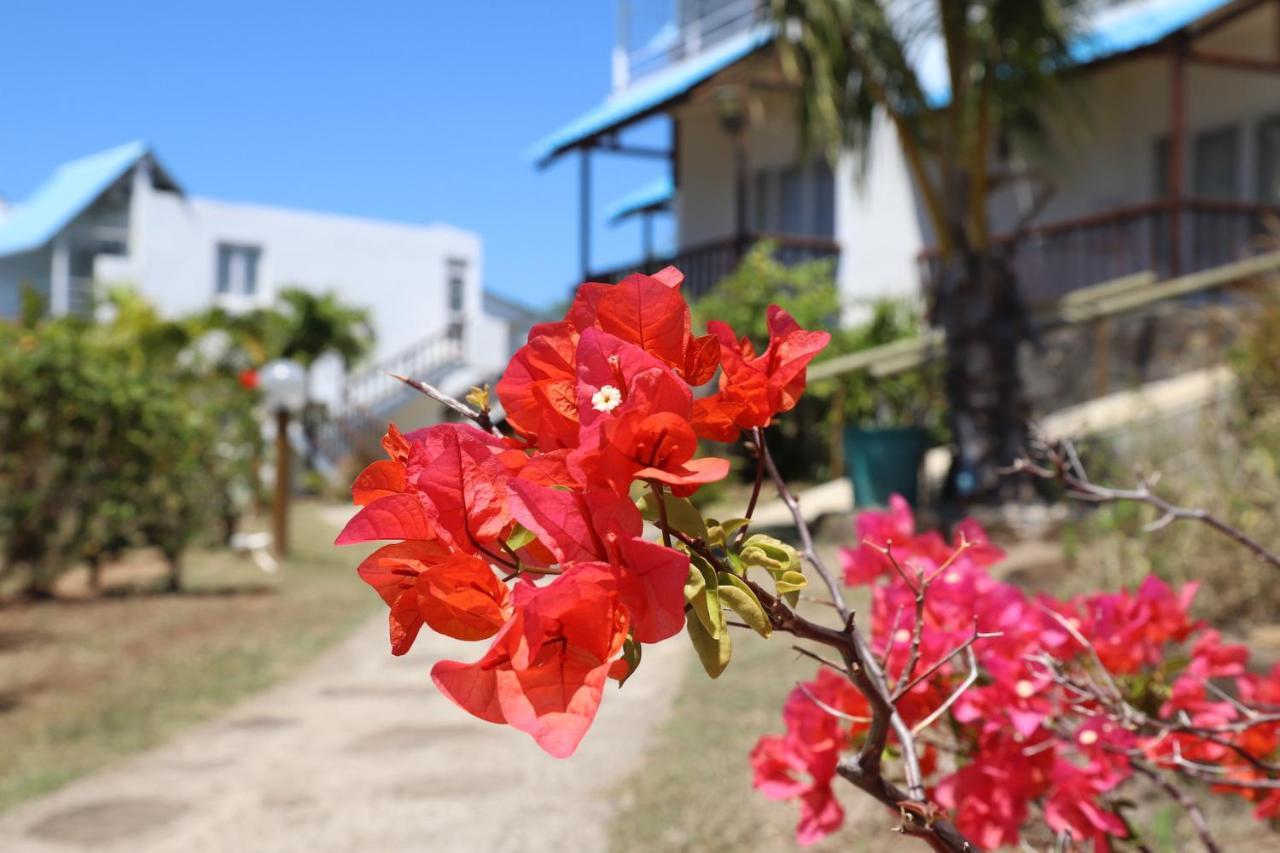 Guest house Du Lagon
