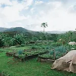 La Vieille Cheminee