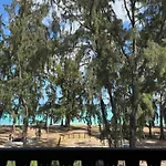 Aquamarine Beachfront Apartment