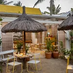 Tropical Attitude (Adults Only)