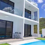 Palms 2