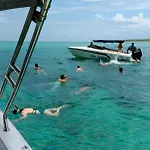 Sunny Boat Tours