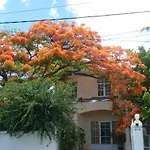 Villa Ylang