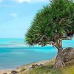 L\'Heritage - Vue Sur Mer
