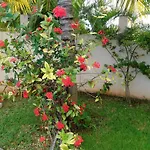 Villa Mon Petit Bonheur