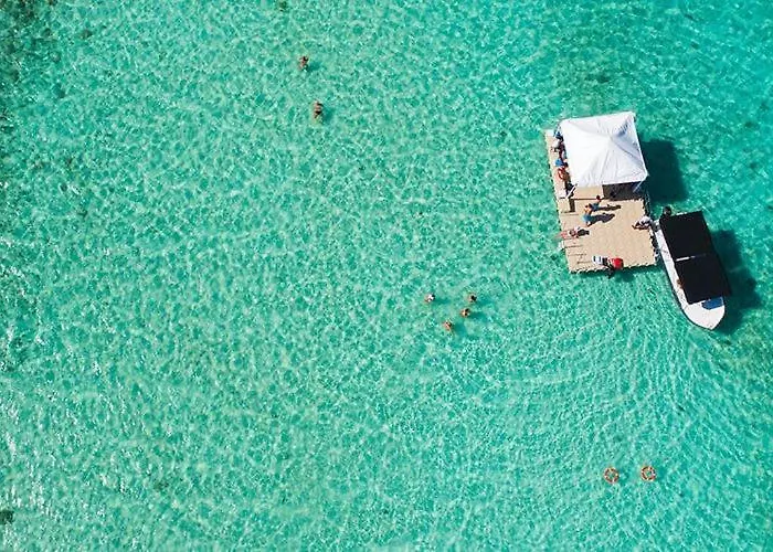 Swiss Nest Travel