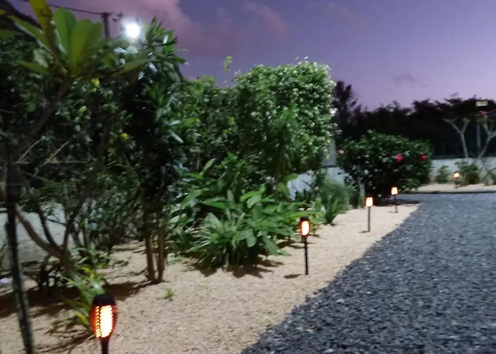 La Nuit Etoilee