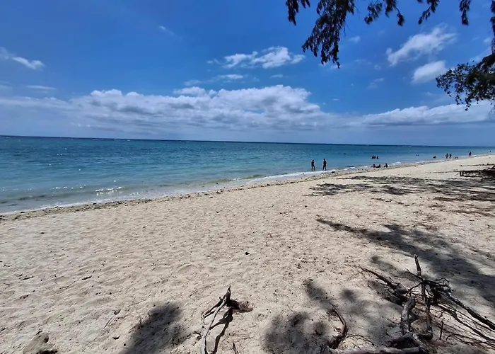 4Beds- Beachfront Bungalow