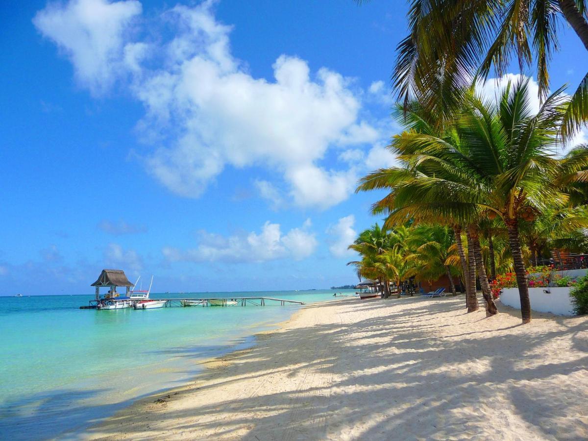 Agata Mauritius