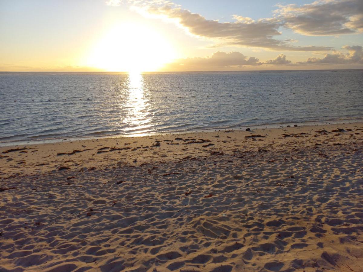 Coconut Lands *