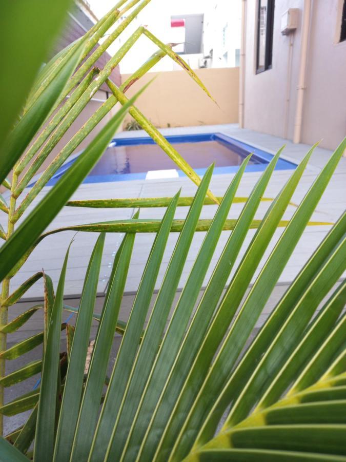 Coconut Lands Flic en Flac