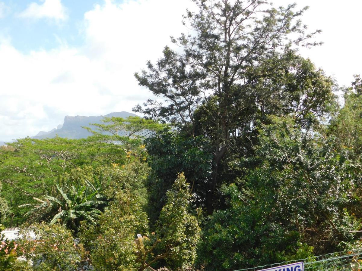 Joubarbe Holiday home *