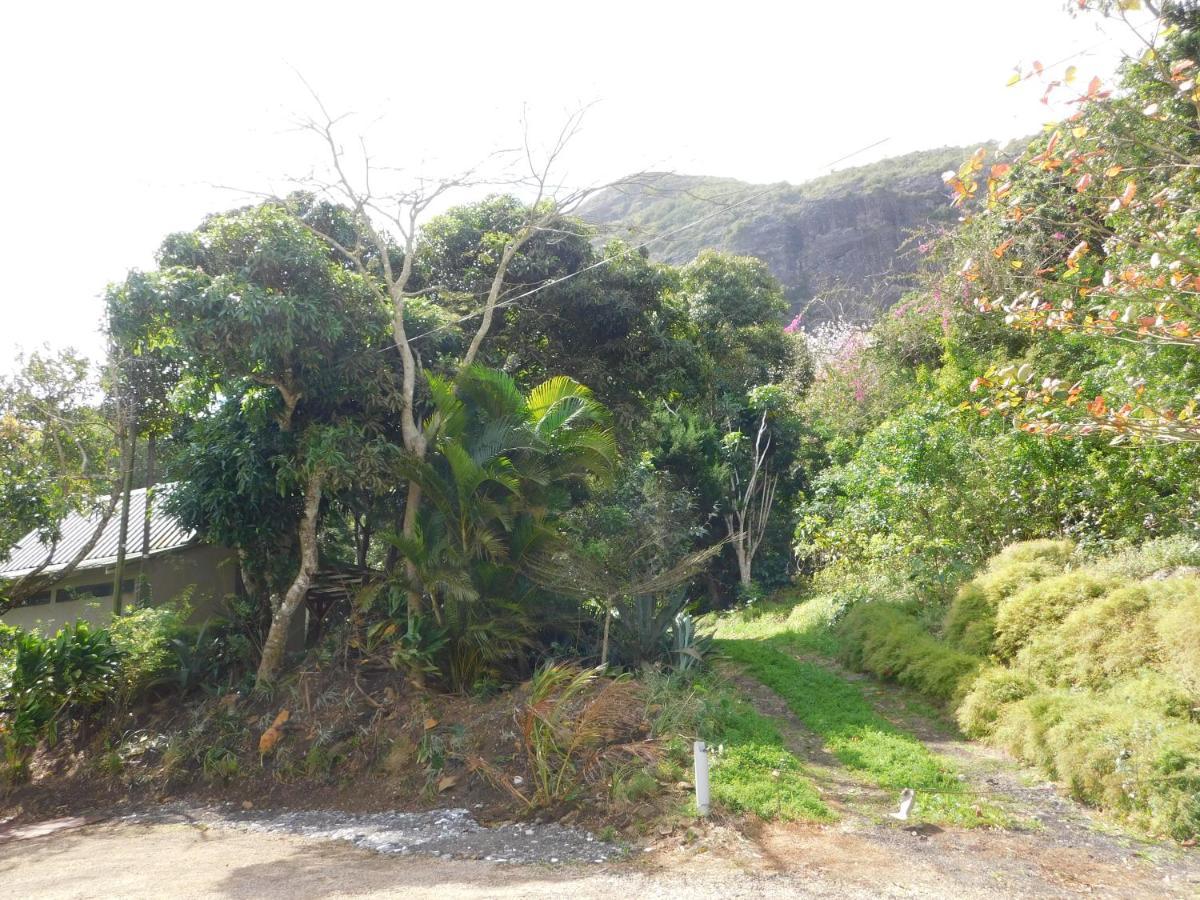 Joubarbe Holiday home *