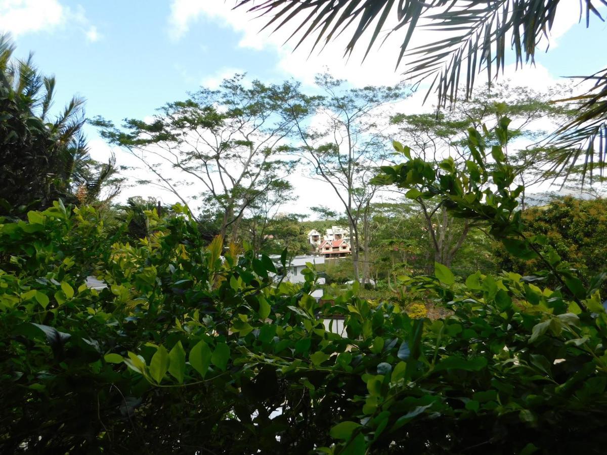 Joubarbe Holiday home