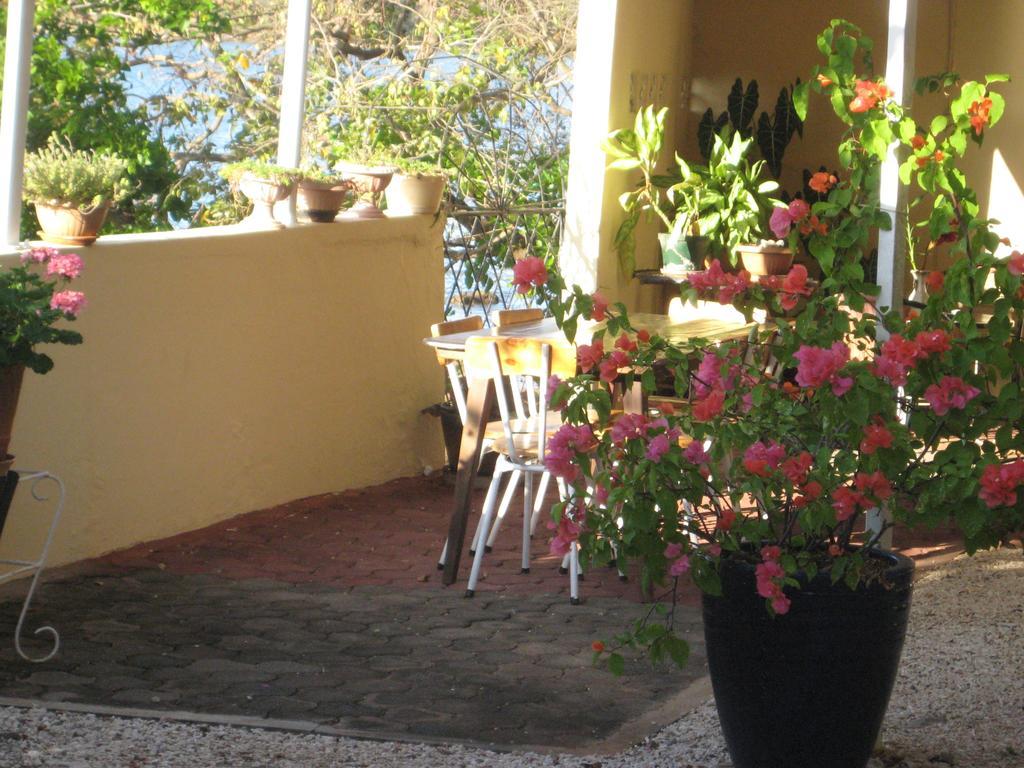 Le Cactus Apartment Baie-du-Tombeau