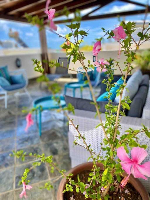 Hibiscus Penthouse Vue 2