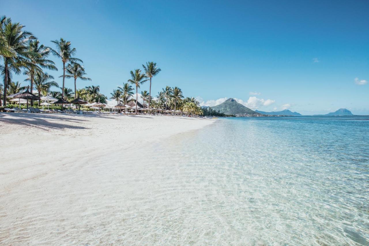 Sugar Mauritius