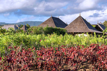 Domaine De Belle Riviere Villas