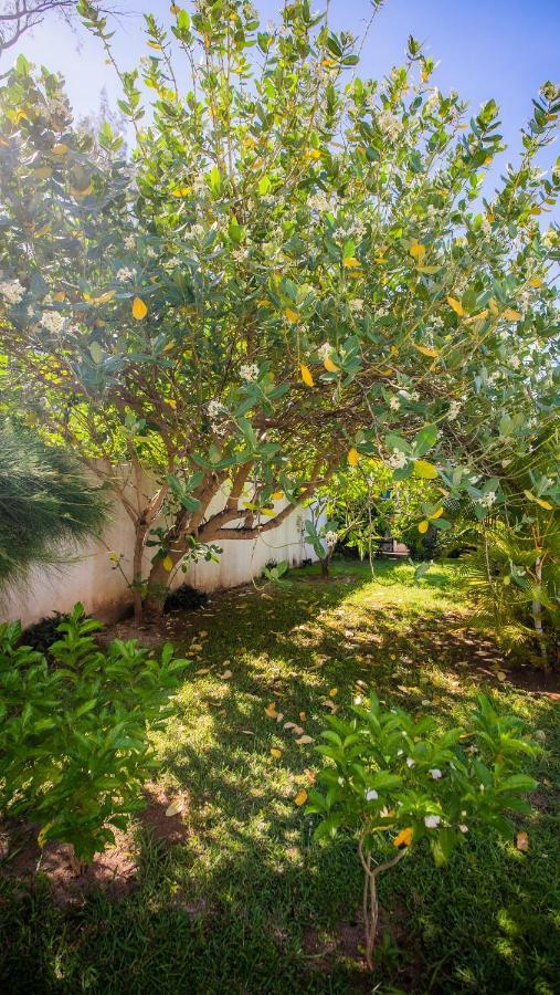 Simone: Sunlit Getaway W/ Pool + Wifi Villa
