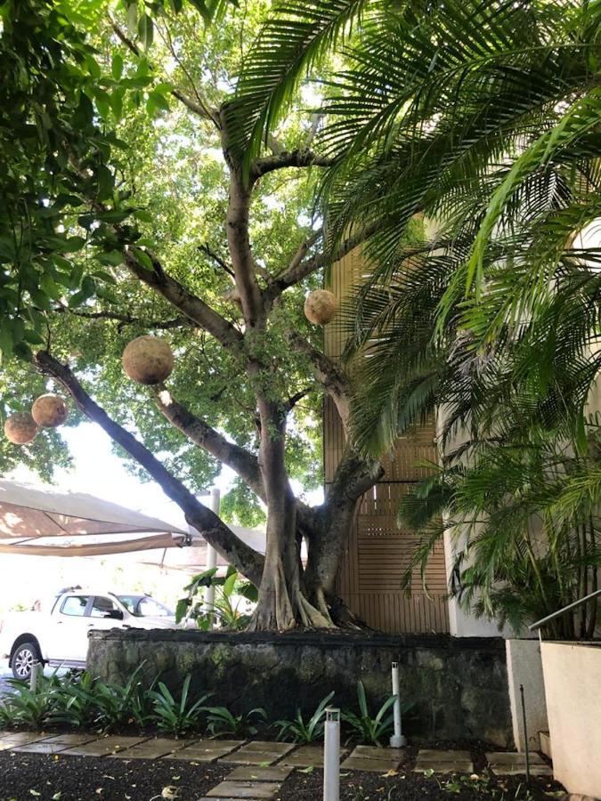Penthouse 3 Vue Lagon Imprenable