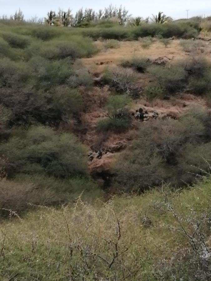 Eagles Nest *
