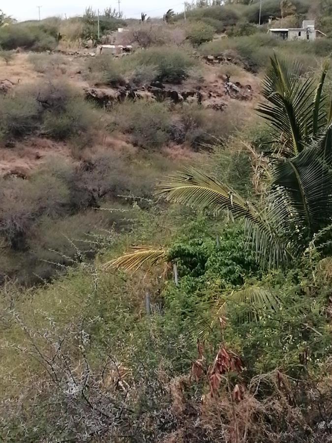 Eagles Nest