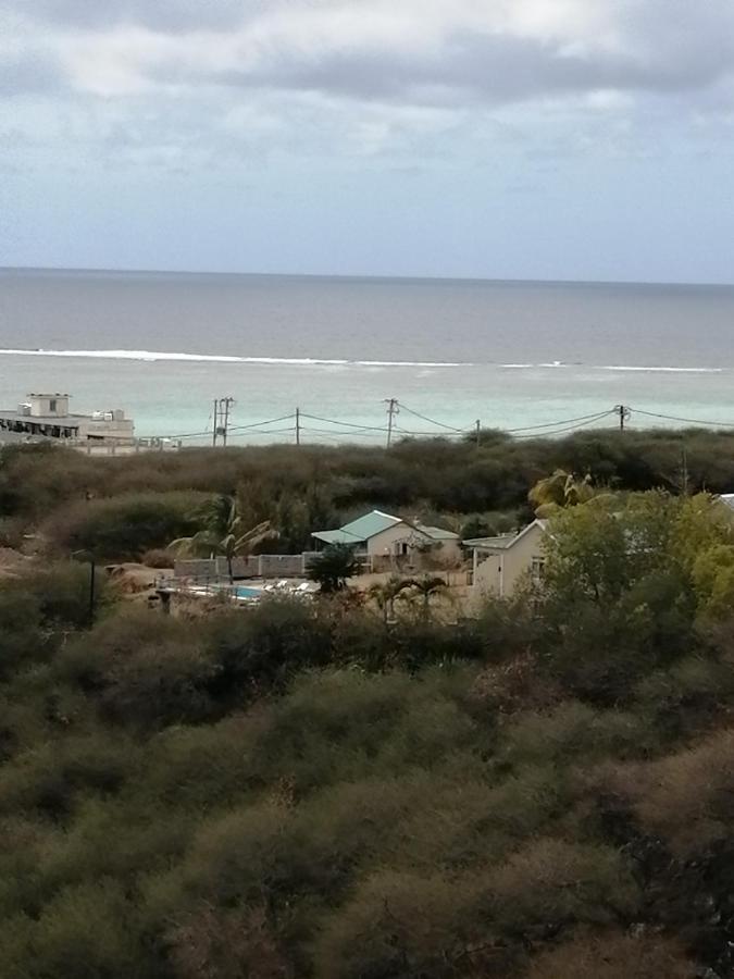 Eagles Nest Bambou