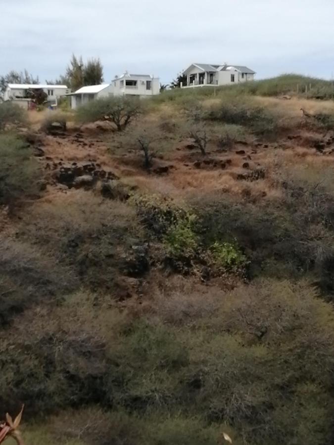 Apartment Eagles Nest Bambou