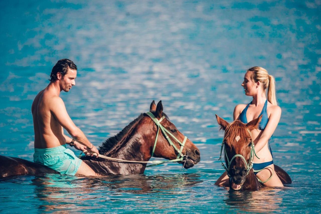 Maritim & Spa Mauritius Hotel 5*