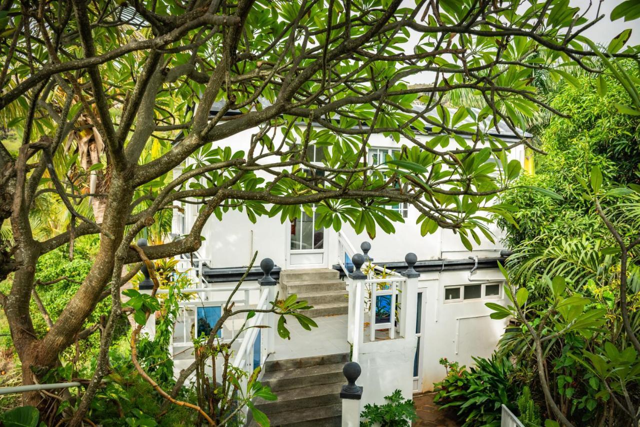 Guest house La Allamanda