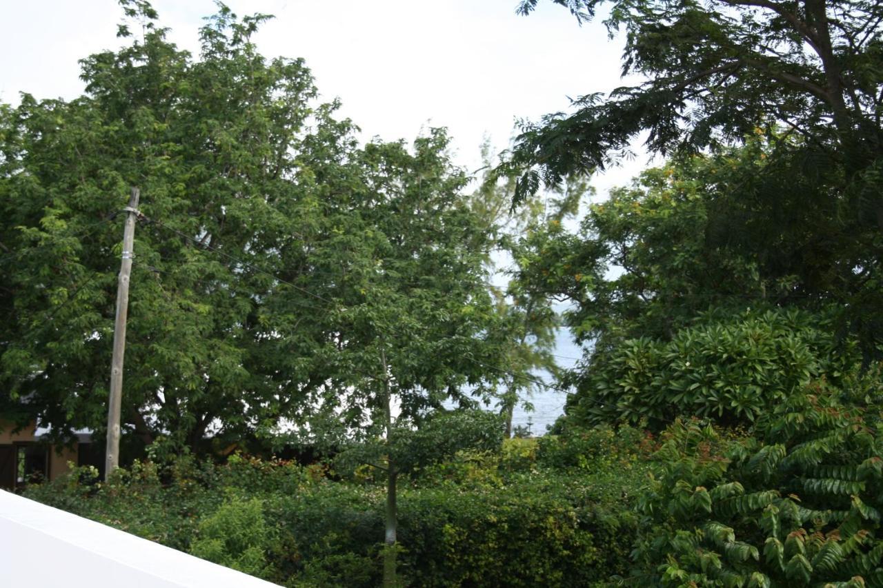 21lg Ilot Fortier M Sea Front And Swimming Pool Riviere Noire