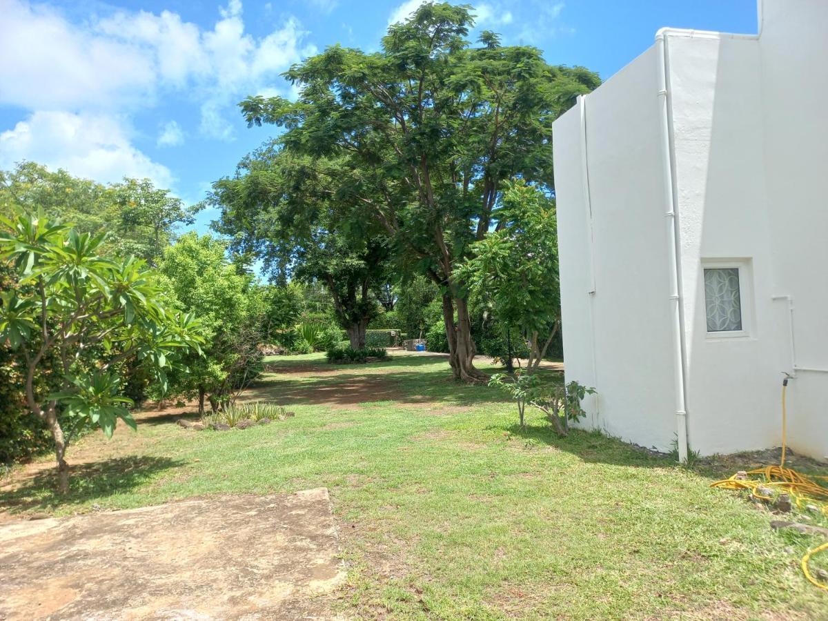 21lg Ilot Fortier M Sea Front And Swimming Pool *